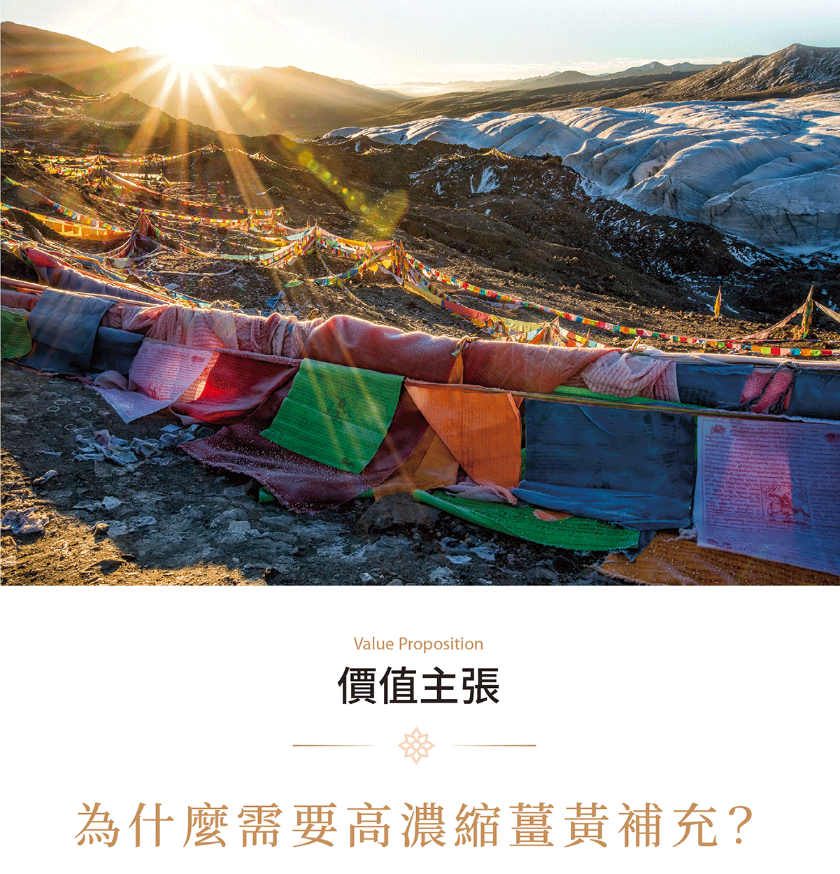 寶芮詩 不丹高濃度薑黃膠囊
