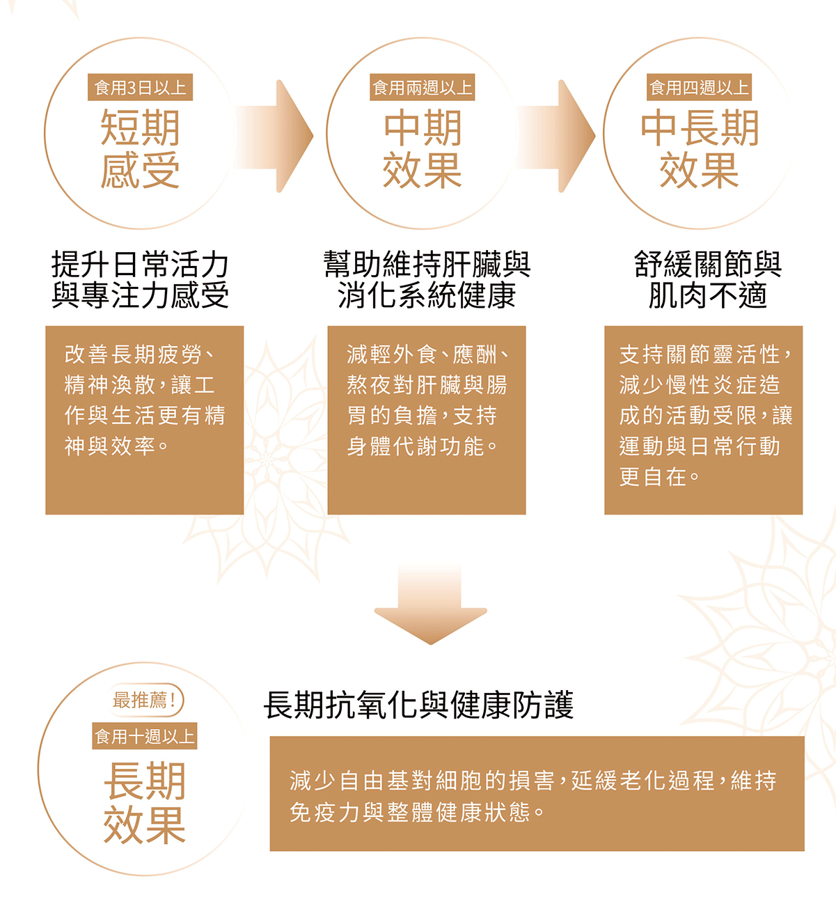 寶芮詩 不丹高濃度薑黃膠囊